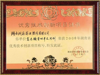 湖南省優(yōu)秀技術(shù)創(chuàng)新項目